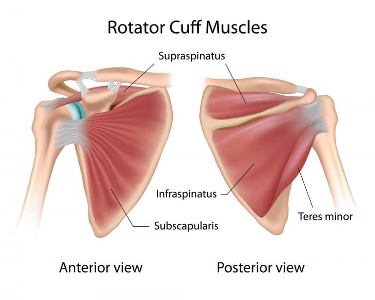Rotator Cuff Injuries Manor Chiropractic